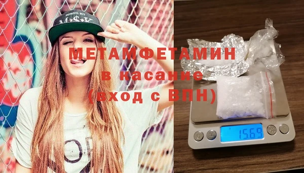 гидра Богородицк