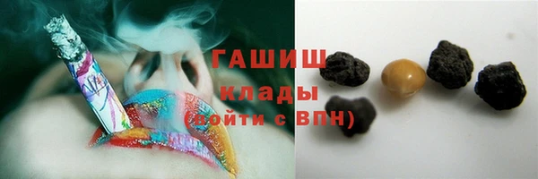 гидра Богородицк