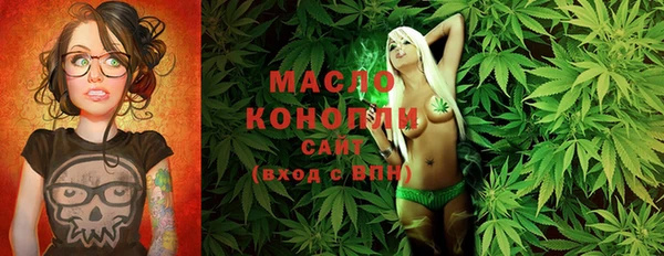 гидра Богородицк